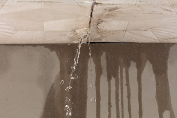 Professional Water Damage Inspection technician working in Palm Harbor, FL